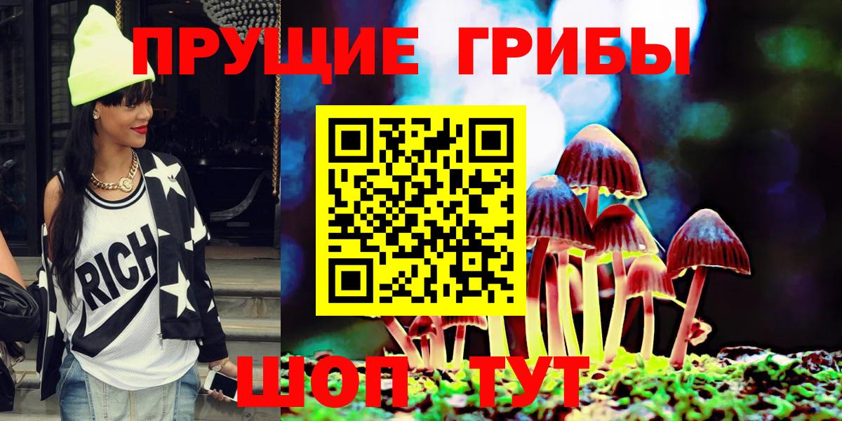 Псилоцибиновые грибы Cubensis Южноуральск