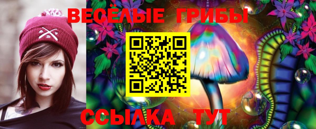 Южноуральск  Псилоцибиновые грибы GOLDEN TEACHER  Вход с VPN 